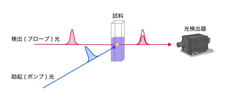過渡吸収測定系の模式図