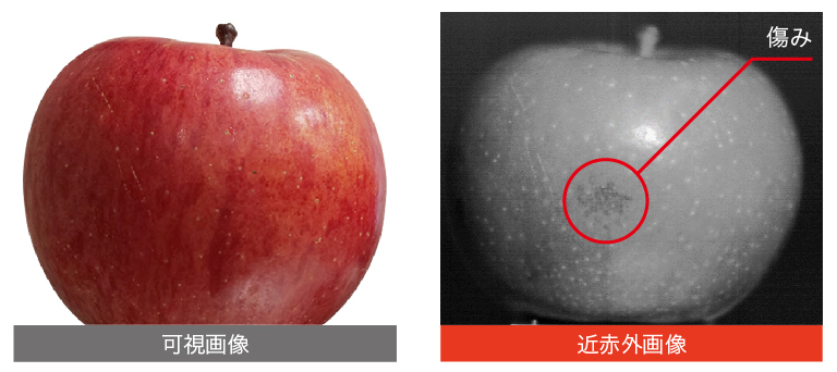 りんごの傷み検査