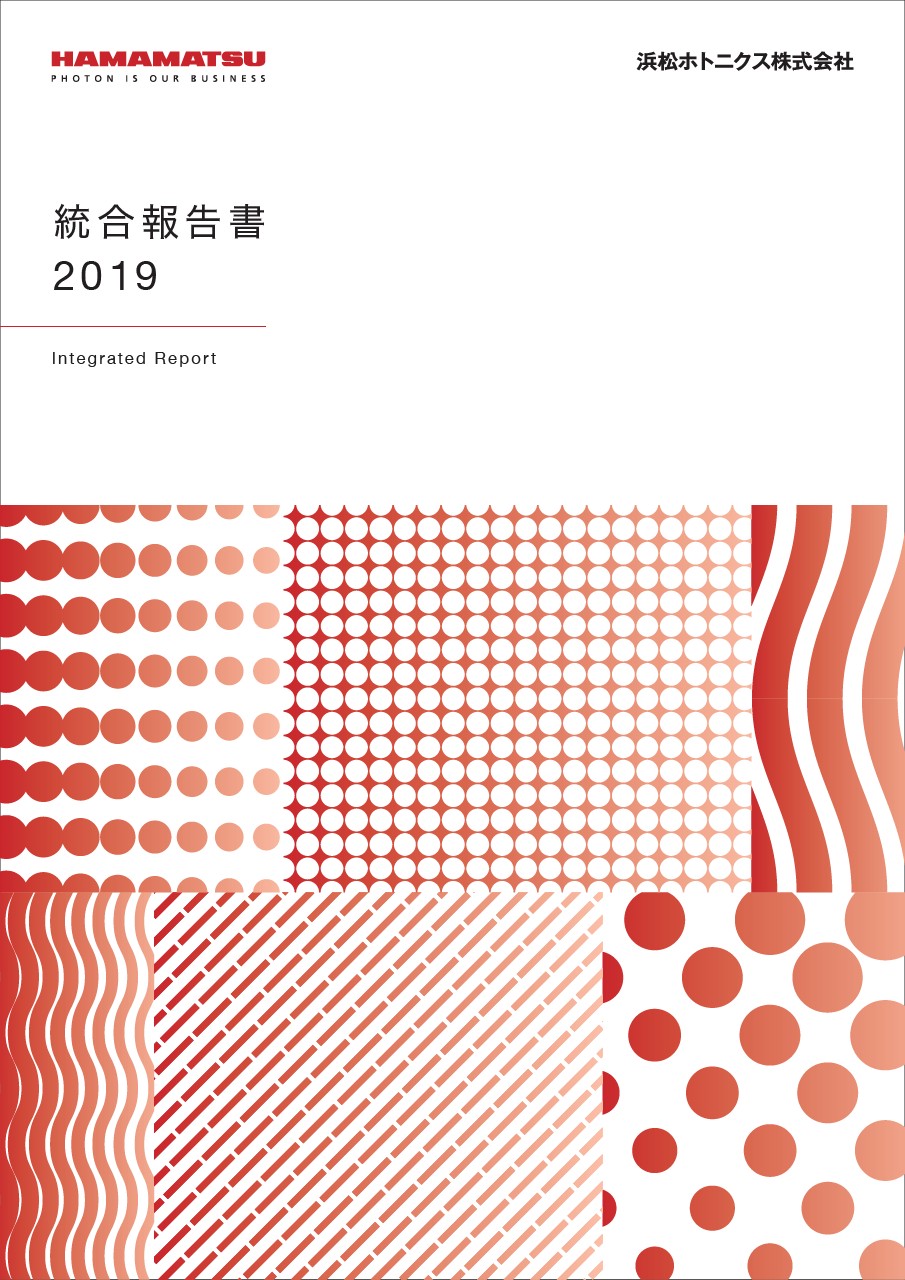 統合報告書2019　A3　閲覧用