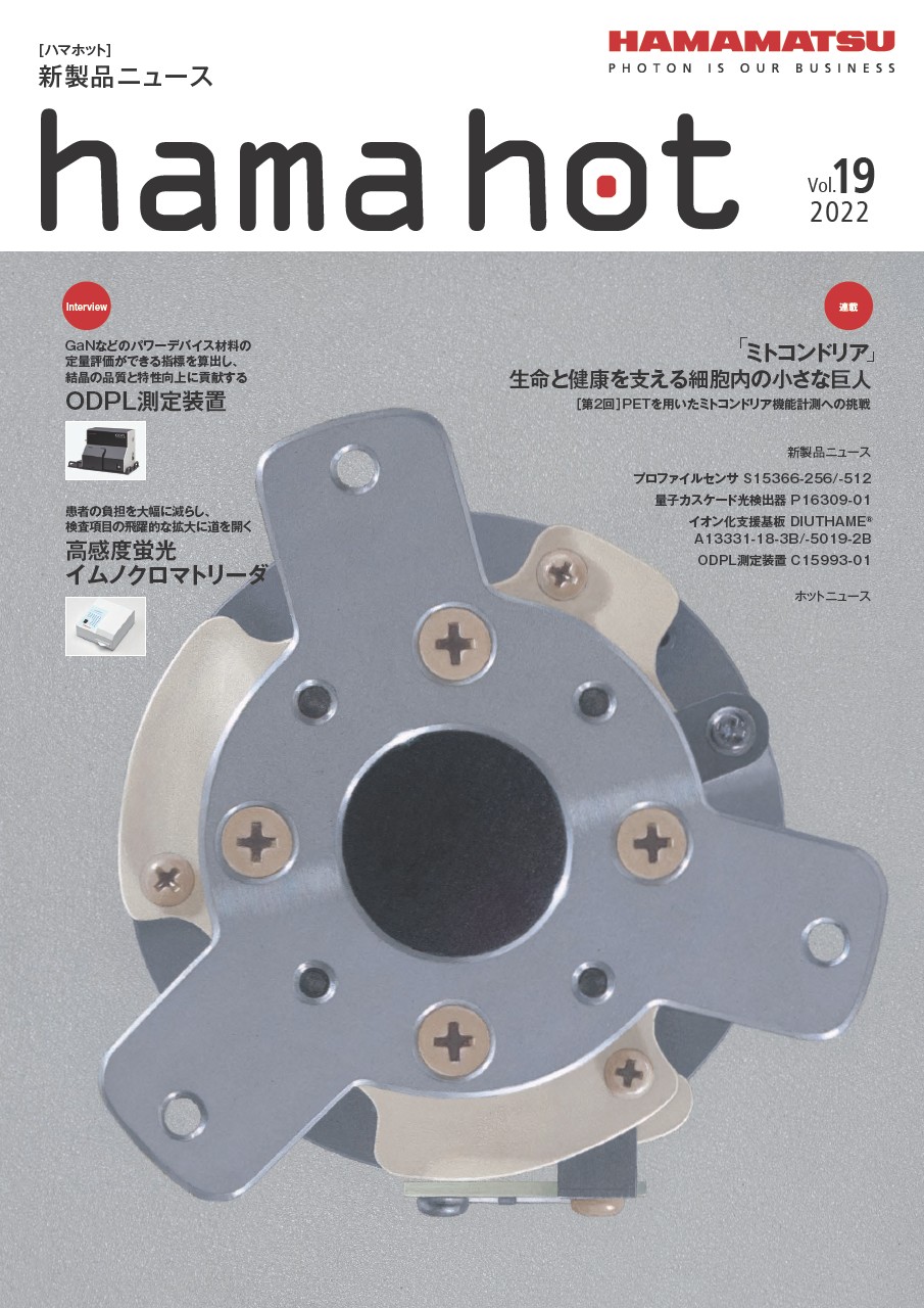 hamahot_2022_vol19.pdf