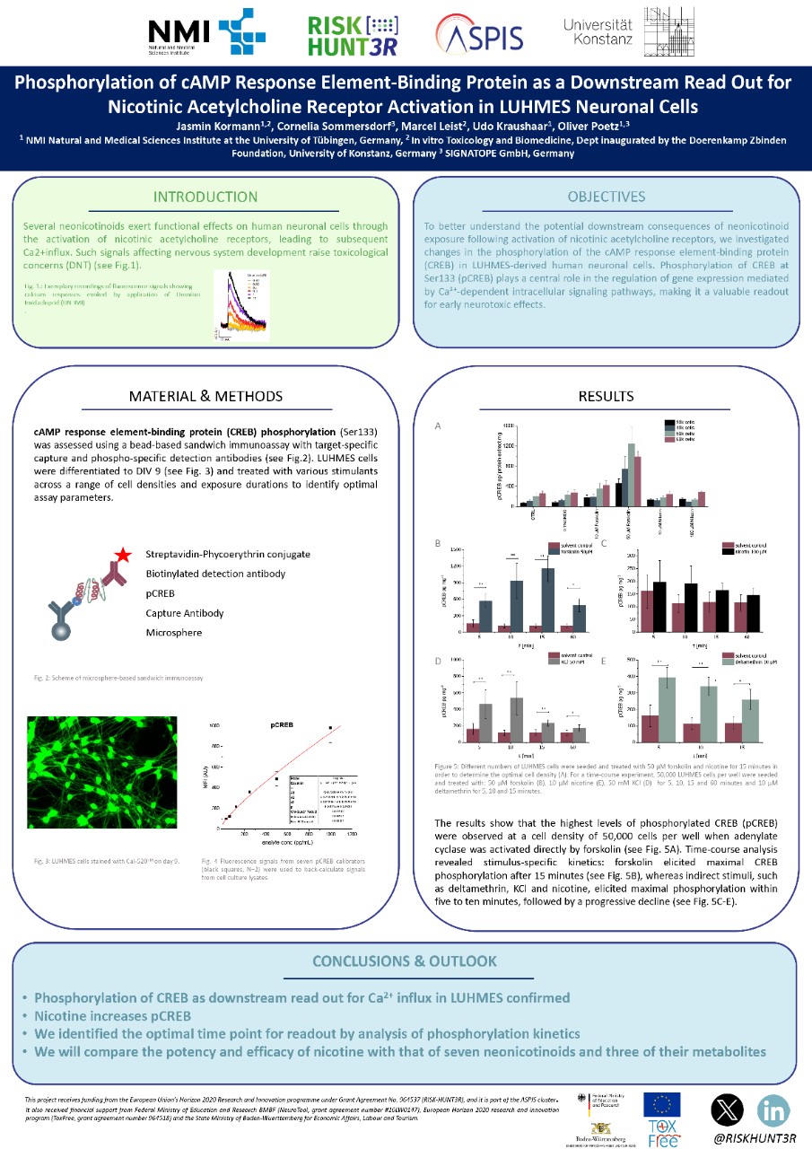 Cell-based fluorescent assay for invertebrate γ-aminobutyric acid (GABA) receptor and characterisation of a novel isoxazoline insecticide