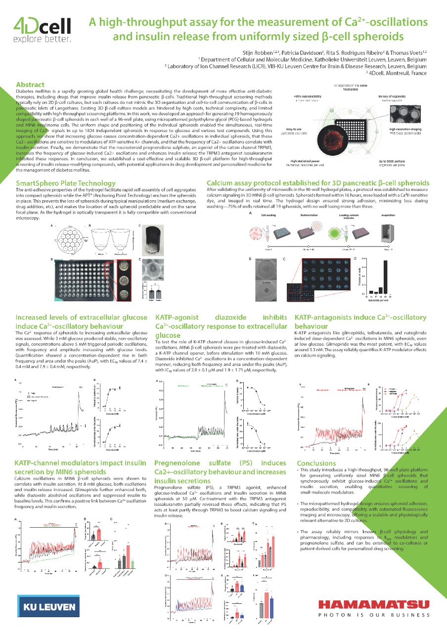 A high-throughput assay for the measurement of Ca2+-oscillations and insulin release from uniformly sized  -cell spheroids