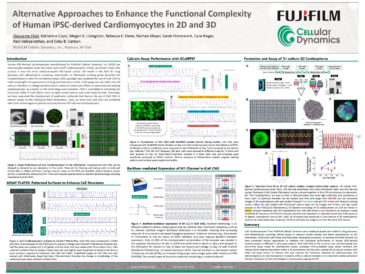 Alternative Approaches to Enhance the Functional Complexity of Human iPSC-derived Cardiomyocytes in 2D and 3D