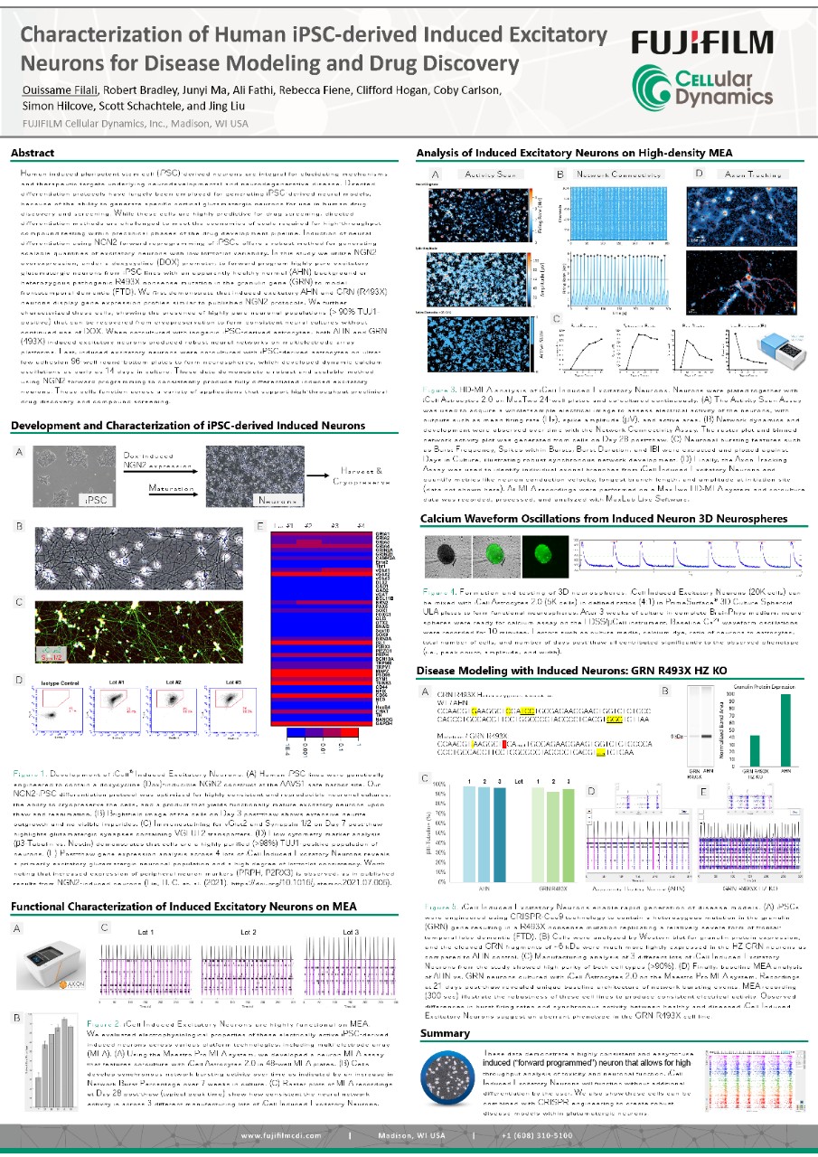 Characterization of Human iPSC-derived Induced Excitatory Neurons for Disease Modeling and Drug Discovery