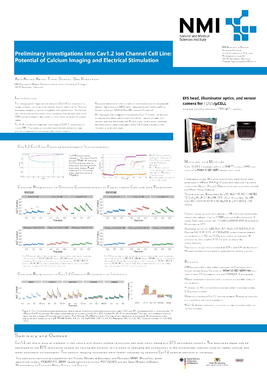 Preliminary Investigations into Cav1.2 Ion Channel Cell Line: Potential of Calcium Imaging and Electrical Stimulation