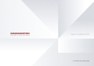 Company Guide