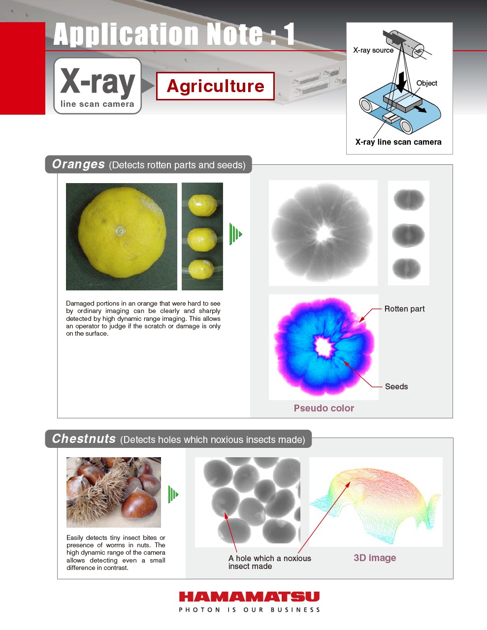 X-ray line scan camera Application Note:1 Agriculture