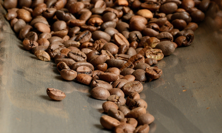 Coffee on conveyor belt