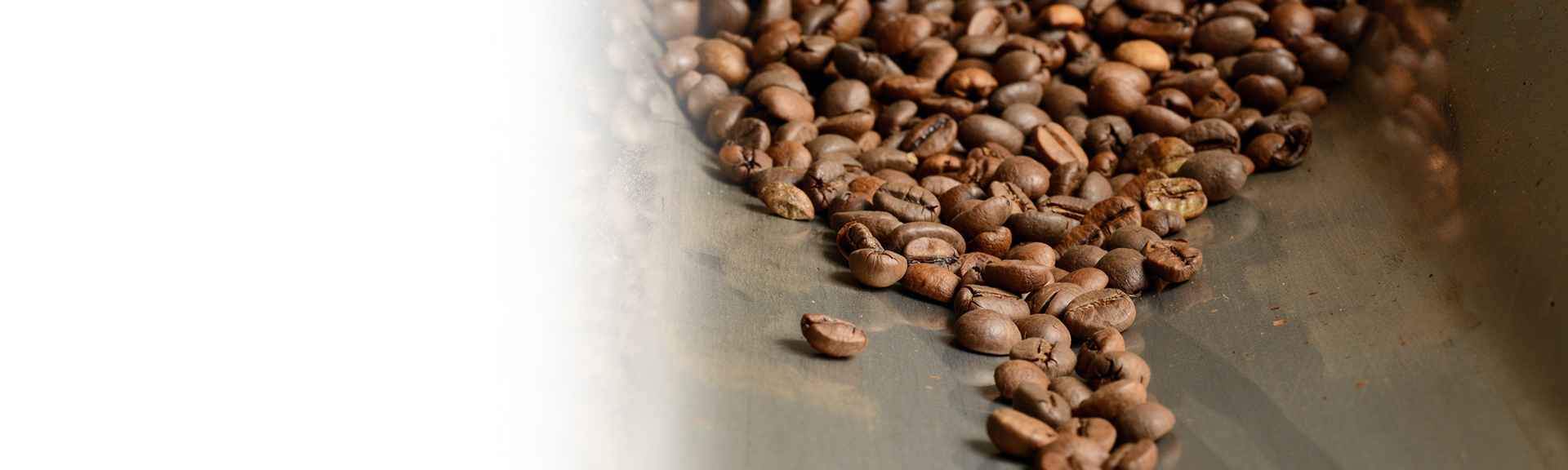 Coffee on conveyor belt