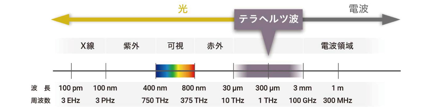食品生産の流れ