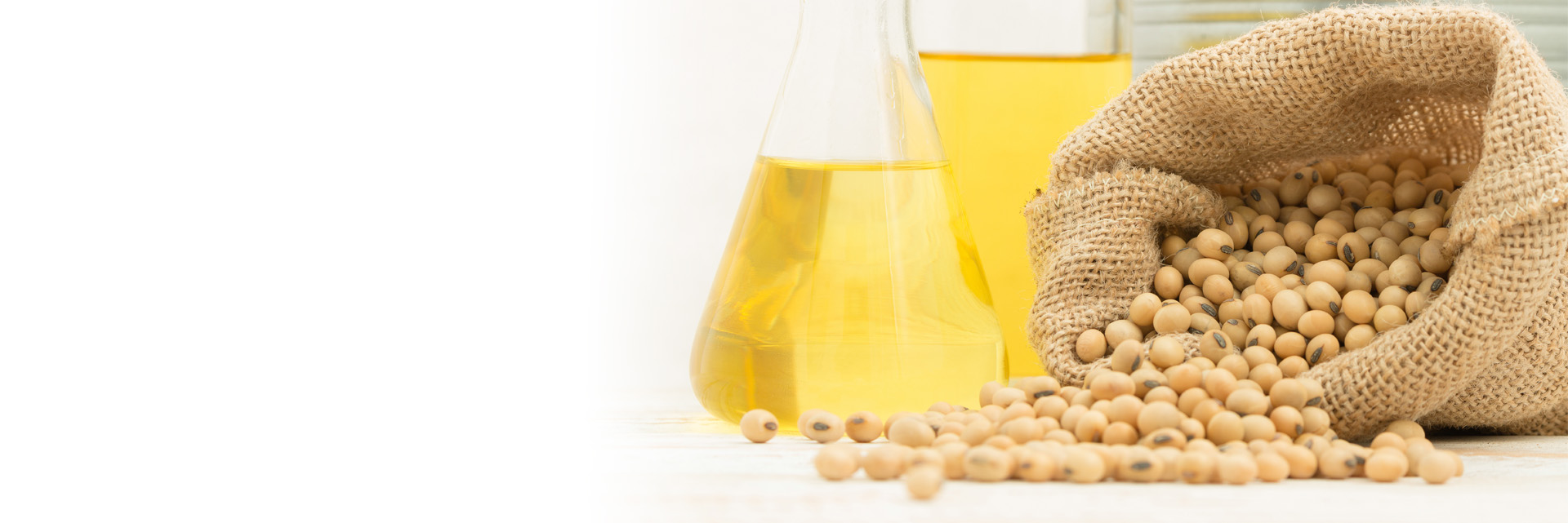 Soybean