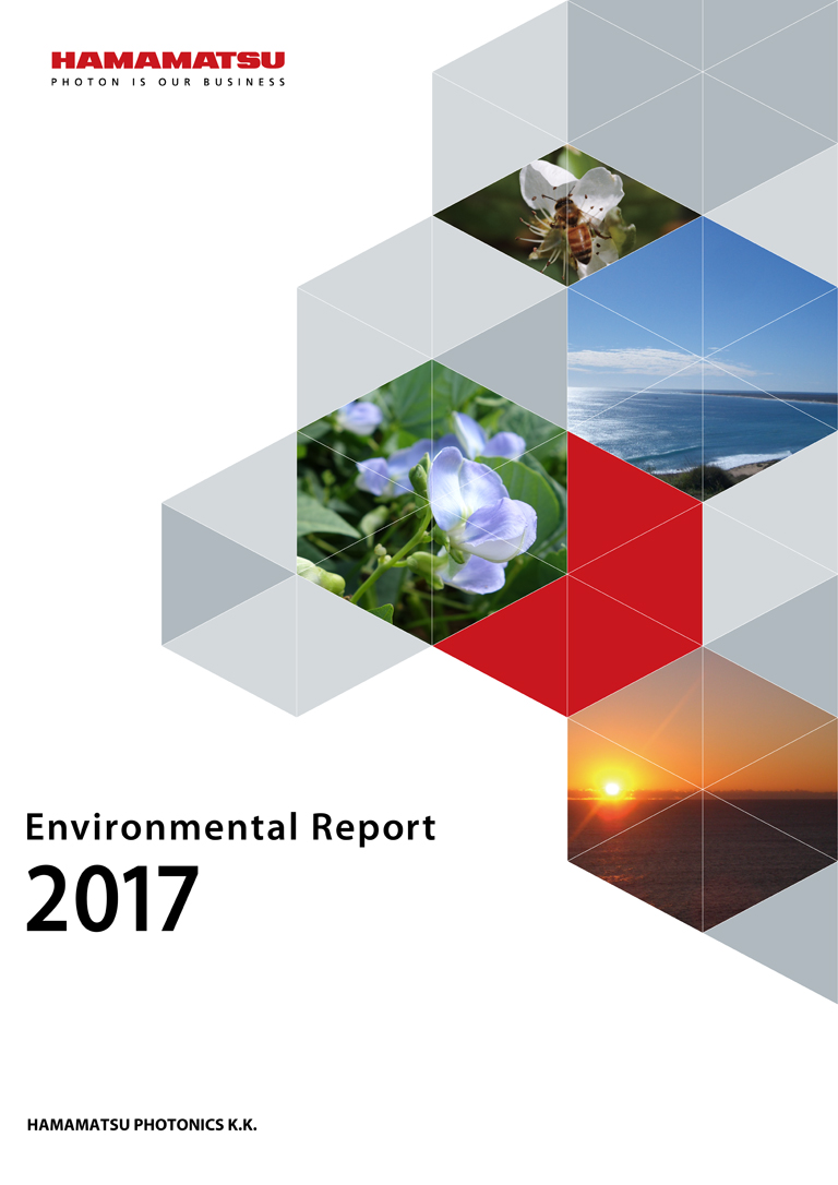 Environmental Report