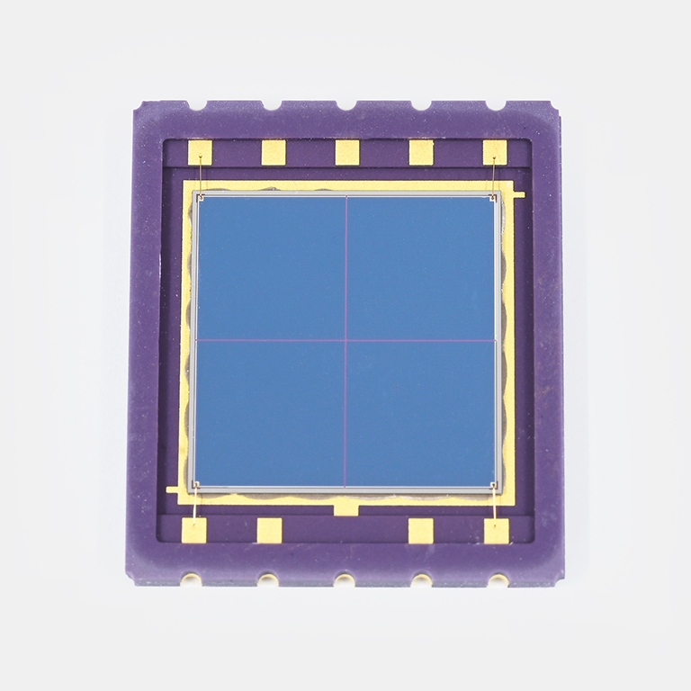 S5981 product photo