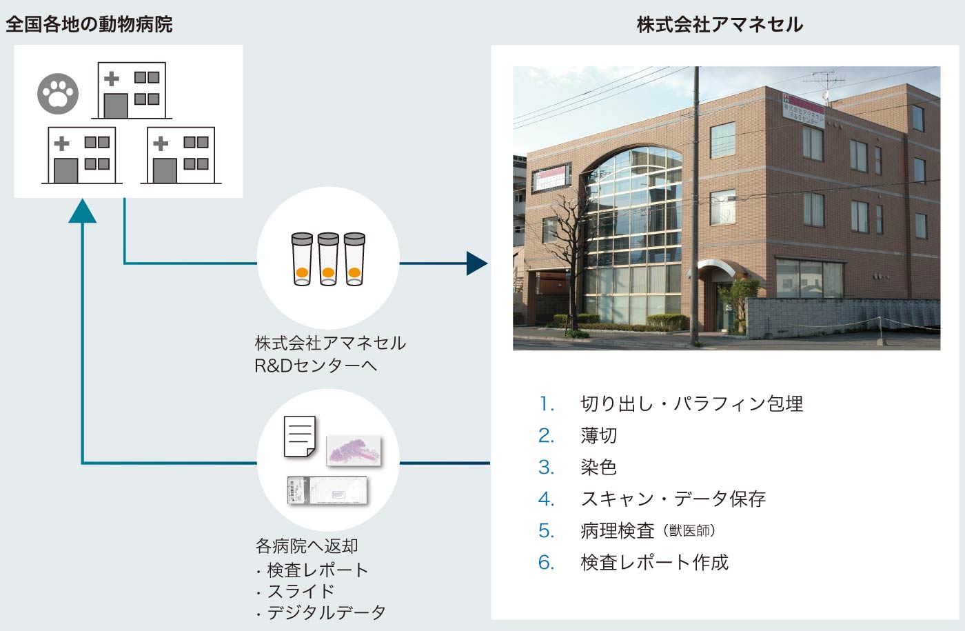 デジタル獣医病理学ワークフロー