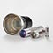 Photomultiplier tube (PMT)