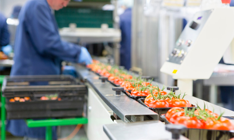 tomato packaging - PACK EXPO 2022