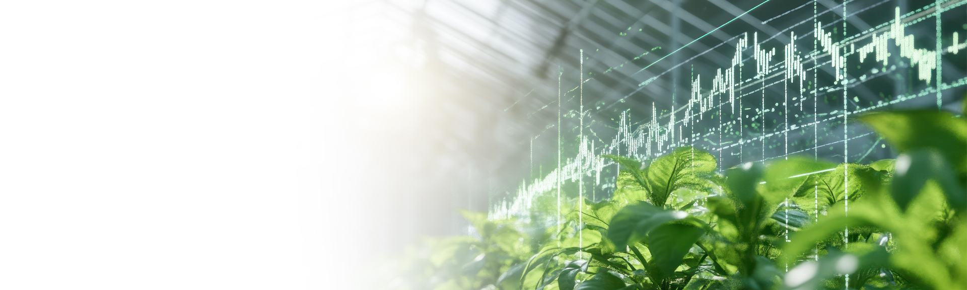 The role of gas sensing in climate strategies