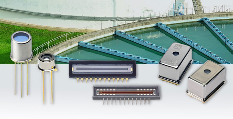 Real-Time Water Quality Monitoring through UV-Vis Spectroscopy