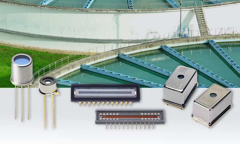 Real-Time Water Quality Monitoring through UV-Vis Spectroscopy