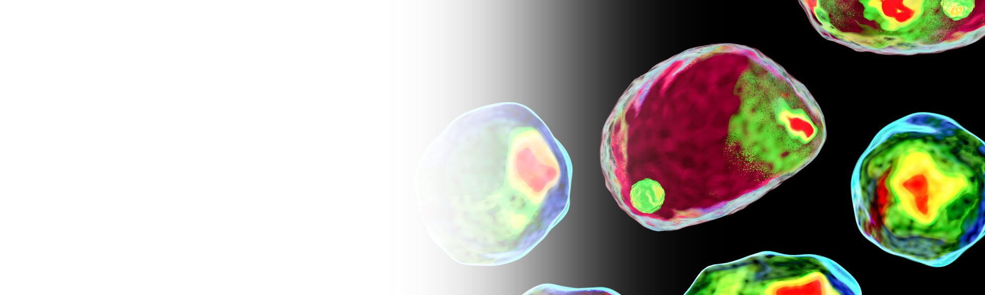 How Flow Cytometry Works: Optics, Lasers and Photon Detectors