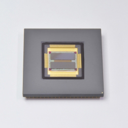 s14810