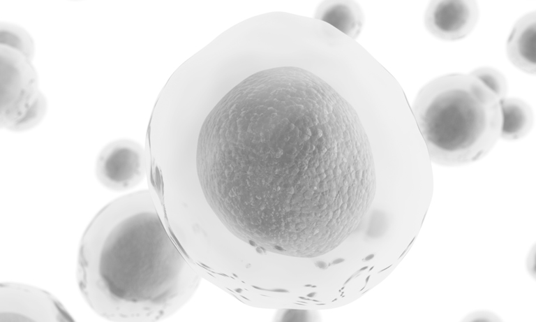 Flow cytometer