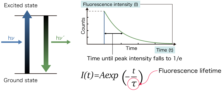 Definition of fluorescence lifetime