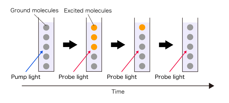 過渡吸収測定の原理