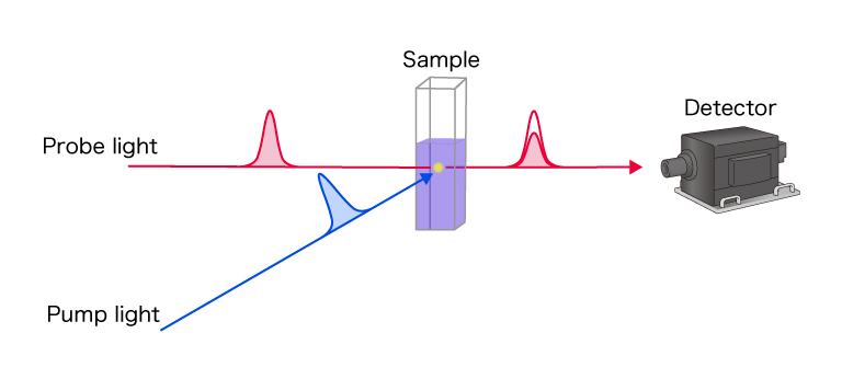 過渡吸収測定系の模式図