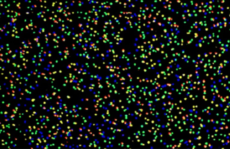 DNA sequence