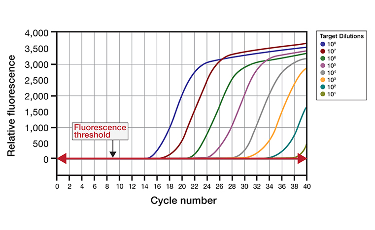 PCR amplification curve
