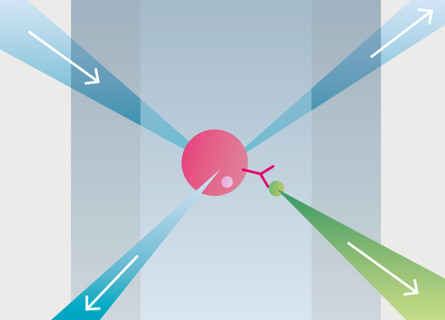 Irradiate cells with laser light