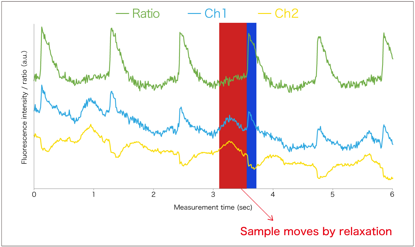 di-4-ANEPPS-Sample movement by relaxation