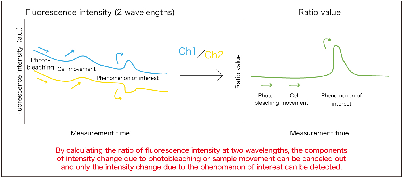 Ratio Imaging - Principle