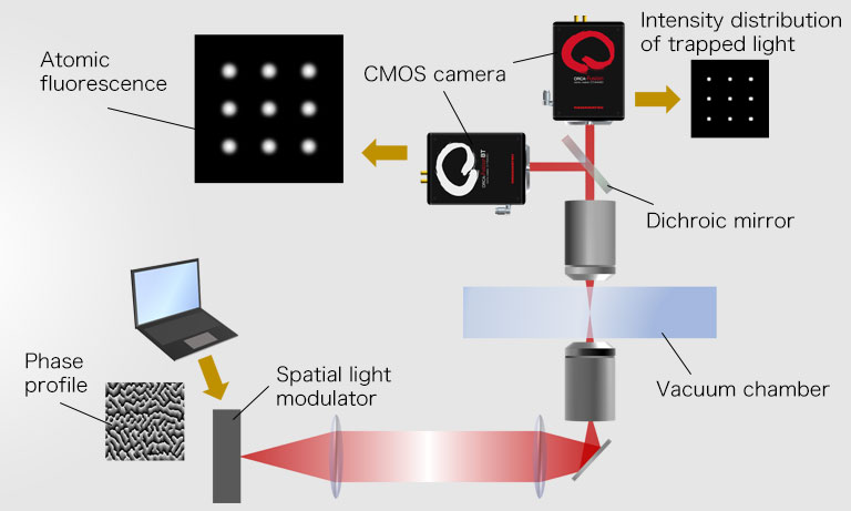 Neutral atoms and Ion trap