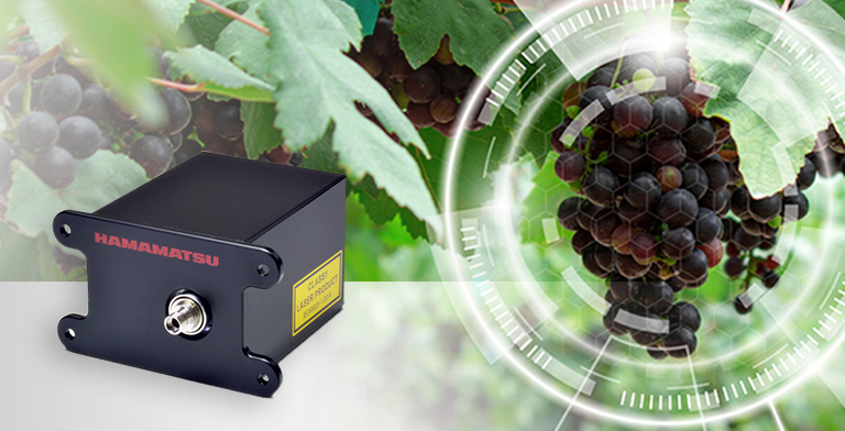 Applications for portable NIR spectroscopy in food analysis