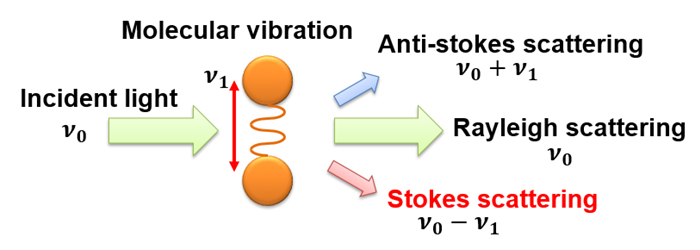 The principle of Raman spectroscopy