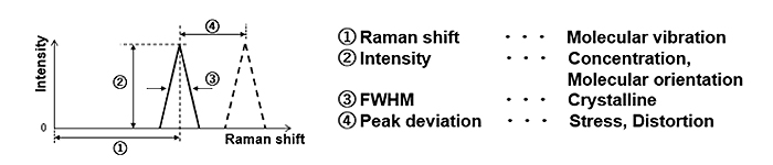 Four Raman spectroscopy categories