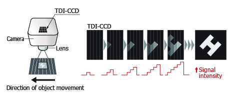 Operating principle of TDI-CCD