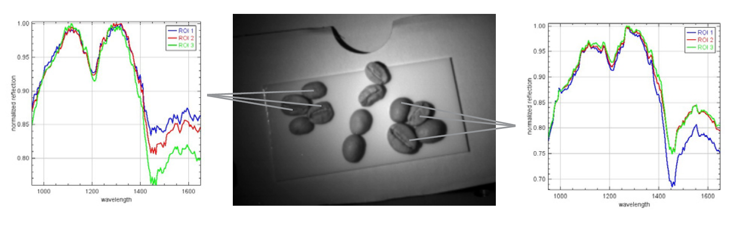  Hyperspectral imaging assessment of different coffee bean types
