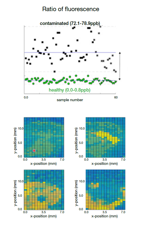 Fluorescence spectroscopy enabling toxin detection
