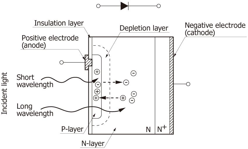 Schematic of Si photodiode cross section