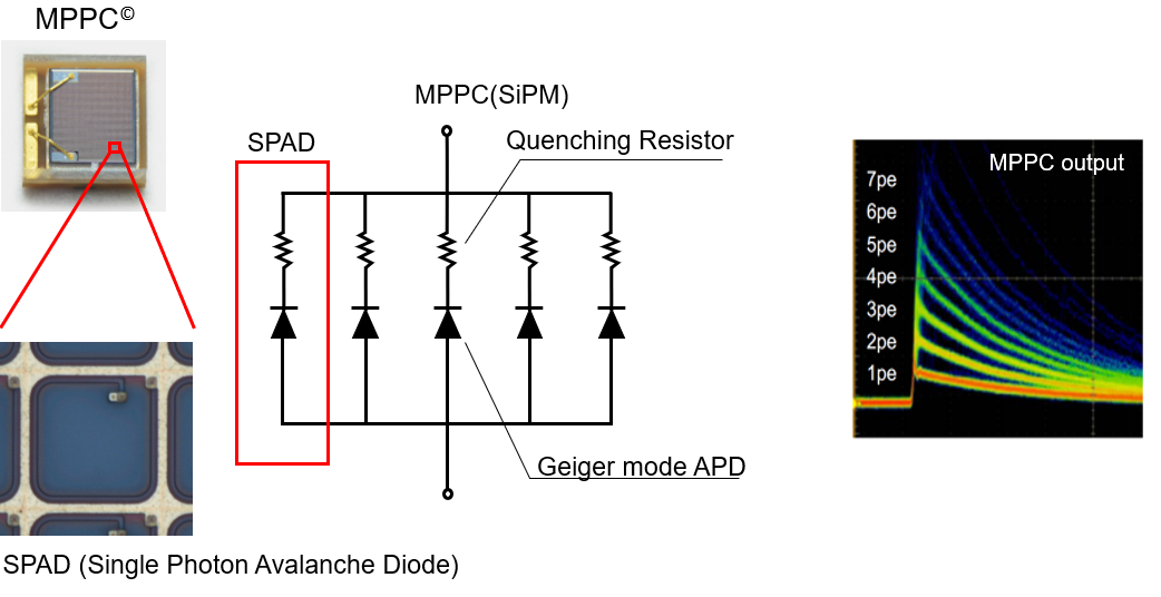Unique MPPC structure and output
