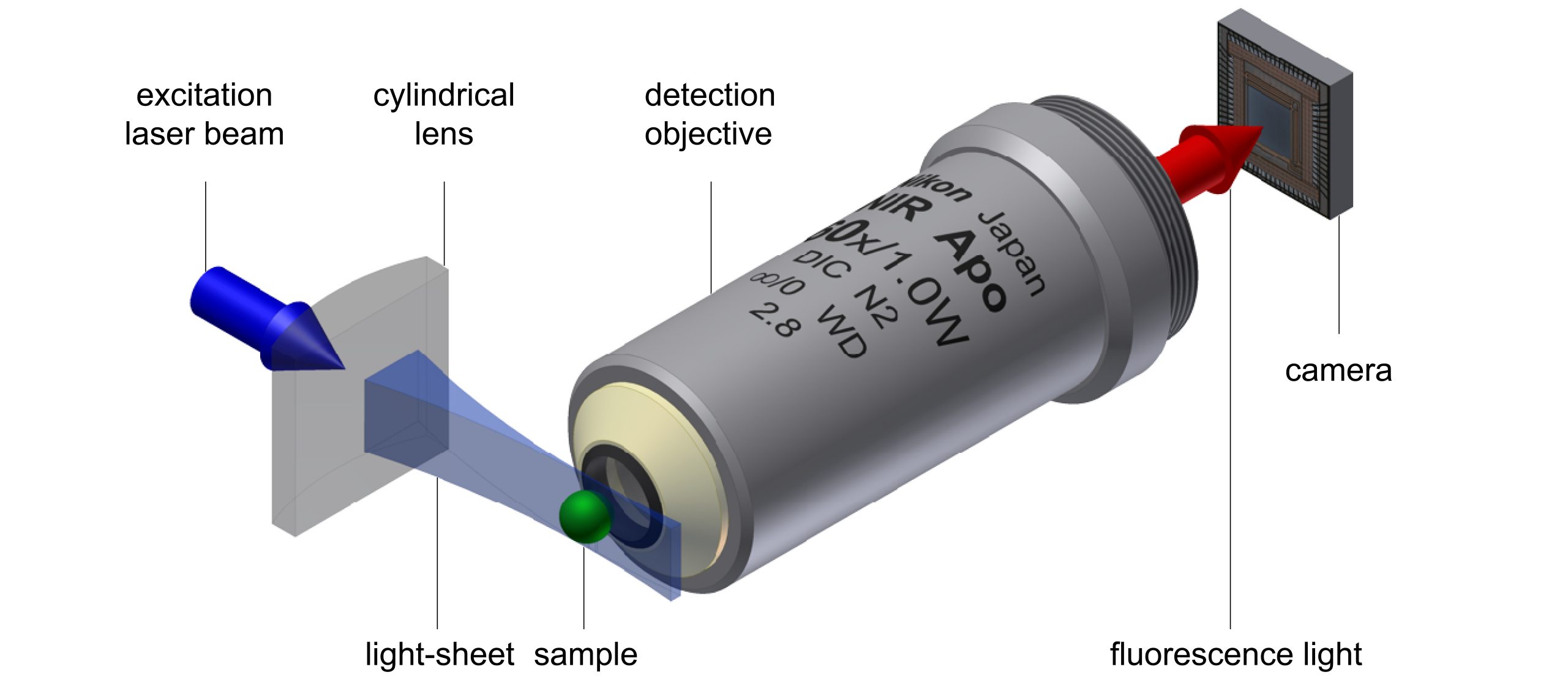 Light-sheet microscopy principle
