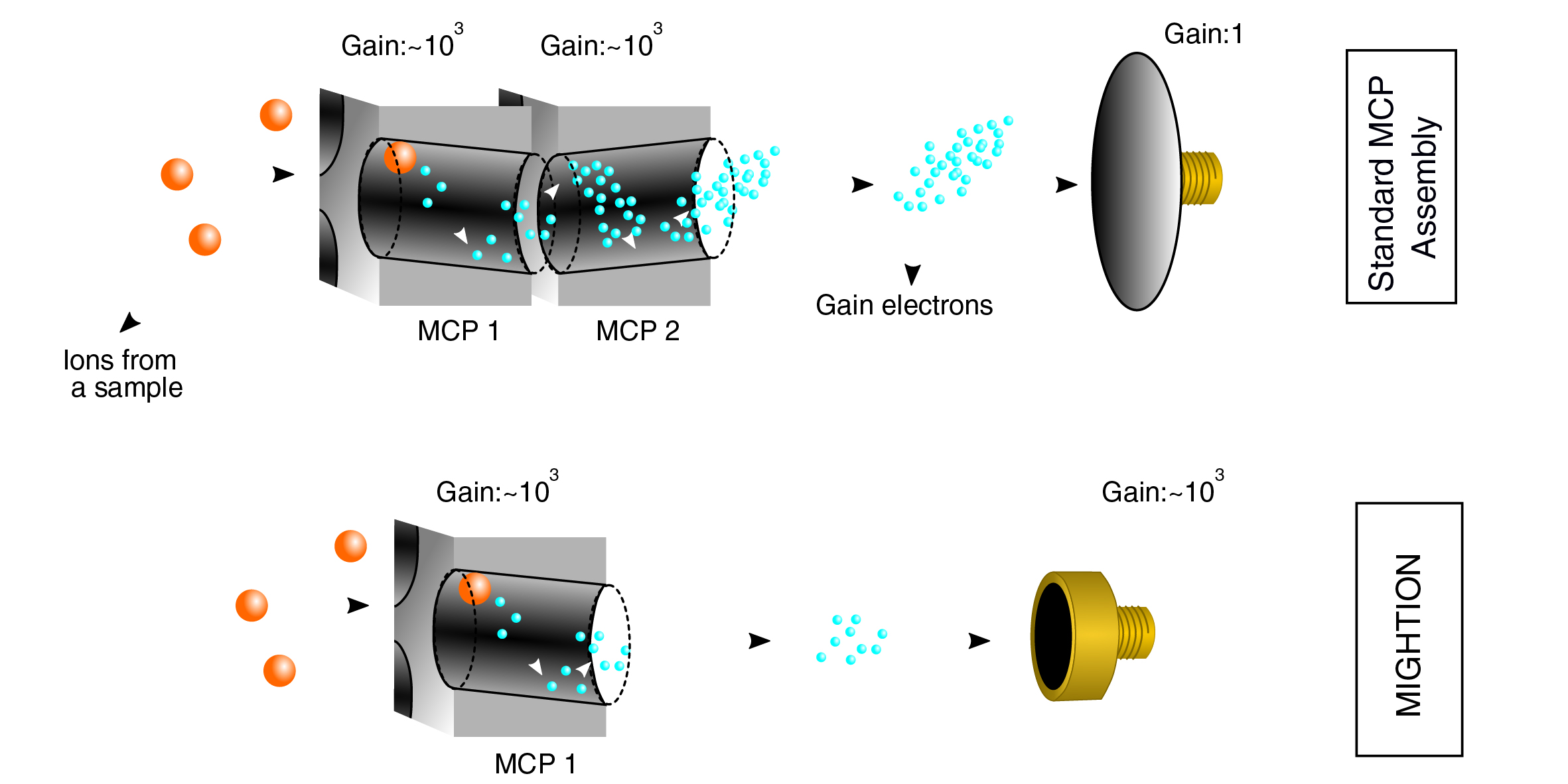 Comparison of detection mechanisms in a standard MCP assembly and MIGHTION