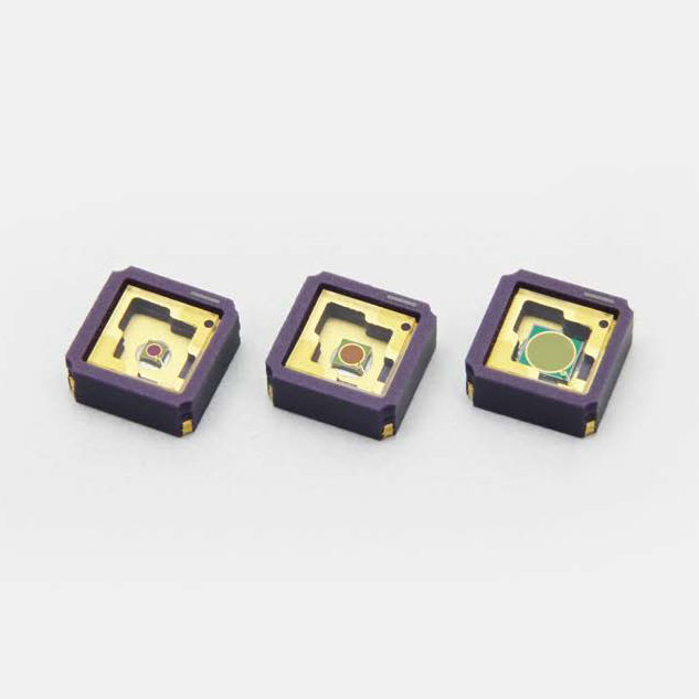 The new G1719X series InGaAs PDs