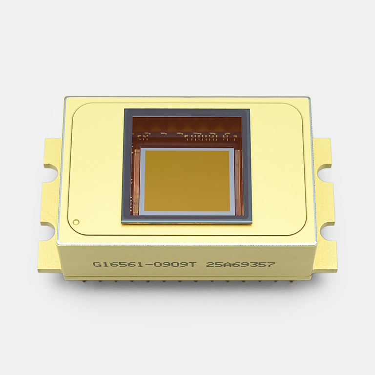 InGaAs area image sensor  G16562-0909T