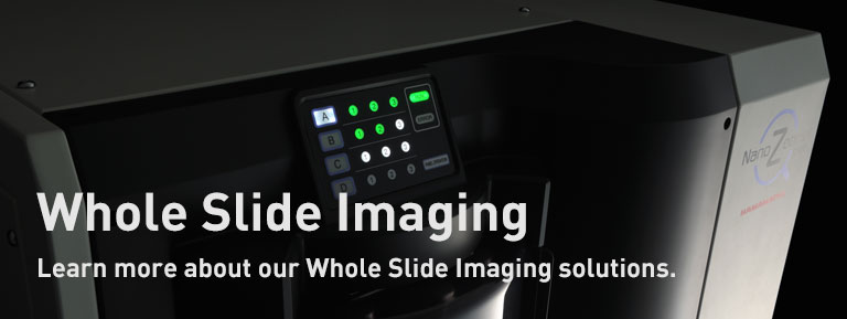 Whole Slide Imaging