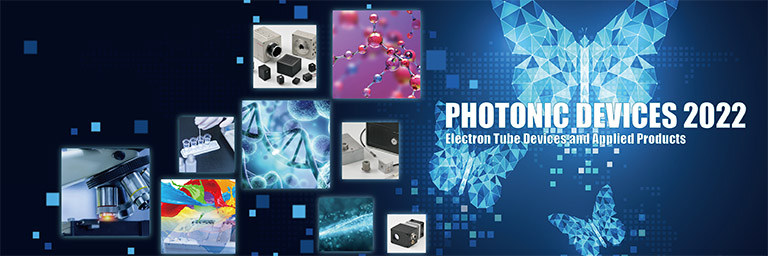 Photonic Devices 2022