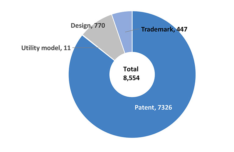 Figure 2：Number of IP rights by type (current as of Sept 30, 2023)
